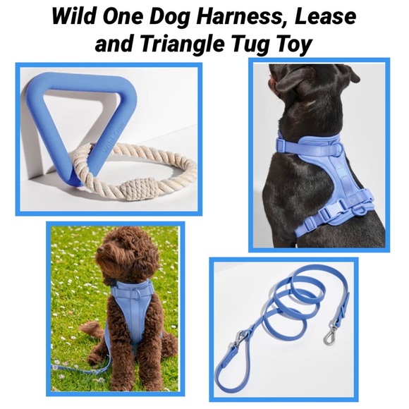 Wild One Dog Wild One Dog Harness Lease And Triangle Tug Toy Poshmark